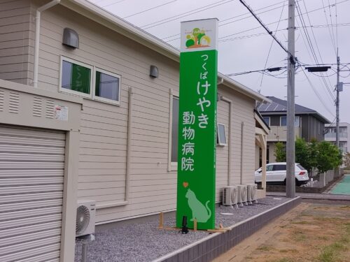 つくばけやき動物病院