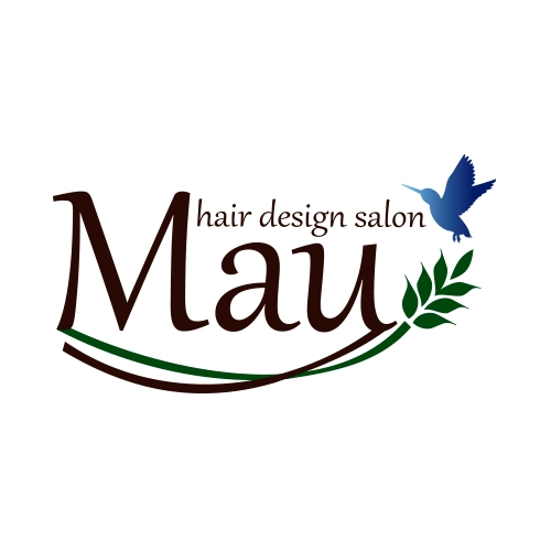 hair design salon Mau